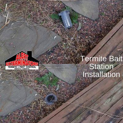 Termite Bait Station Installation