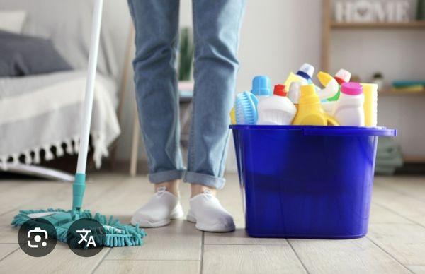 Reina's Home Cleaning