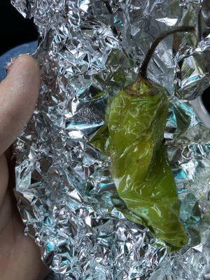 Pepper