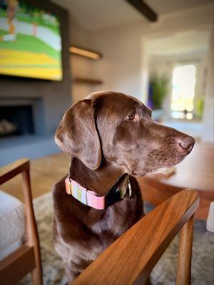 Maggie can't get enough dubdog