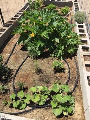 St Martin In the Fields Episcopal Church