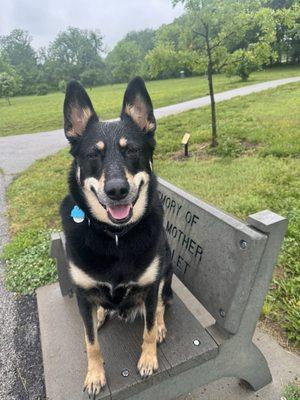 Harrisonville Animal Clinic