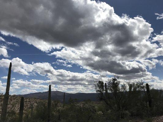 Mescal Mountain OHV Recreation Area in March