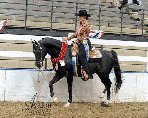 Prairie Gem Stables