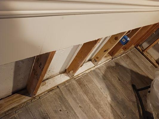 Modest Cleaning & Construction