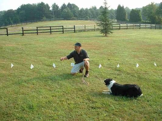 Our trainer in action
