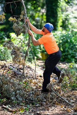 Branch Brothers of Greenville