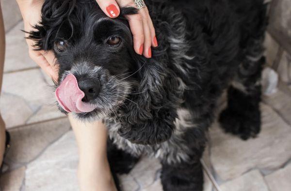 Wally's House & Hound