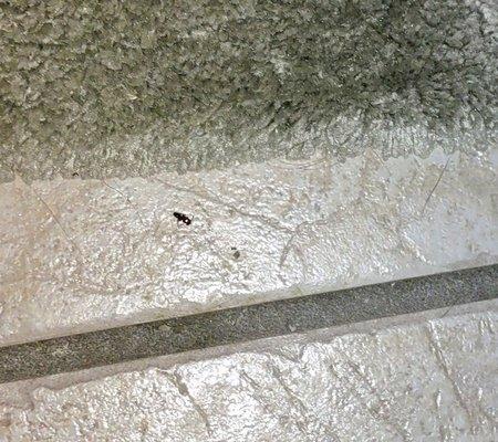 San Marco Village Apartment Community