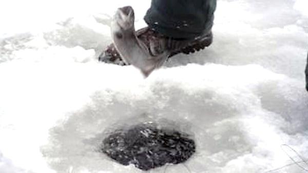 Silverton Sporting Ranch