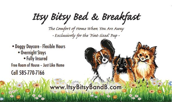 The perfect day care and overnight place for your precious, pint-sized pup! All pups are under 23 pounds for safe and fun play.