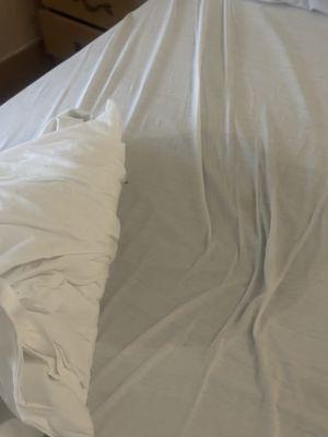 Rehabilitation and Healthcare Center of Tampa