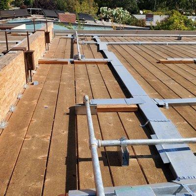 Longevity Fire Sprinklers