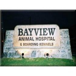 Bayview Animal Hospital