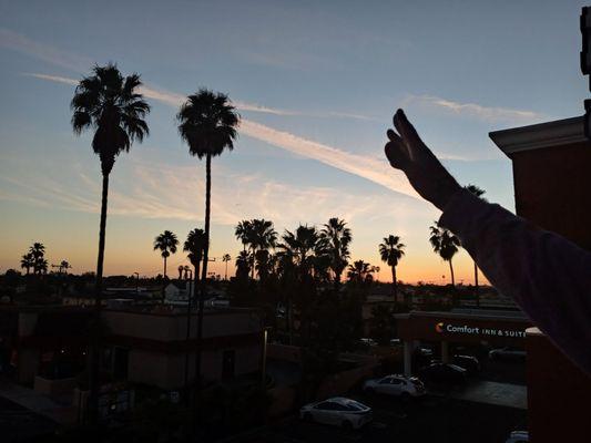Comfort Inn & Suites Huntington Beach