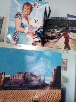 A really big sun kind of sewer I developed some basil and possibly have some squirmia sales I would highly recommend this place