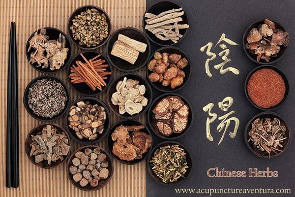 Acupuncture Inc