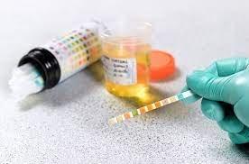 ESC Medical Solution & Kimoz Consulting