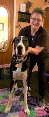 Davis Massage Therapy