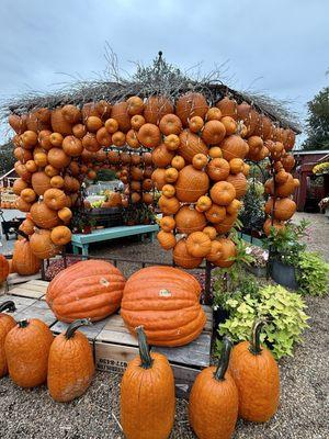 DePaul’s Urban Farm