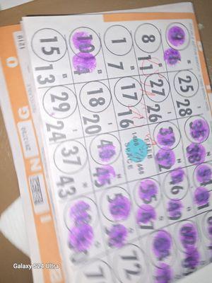 My winning bingo card