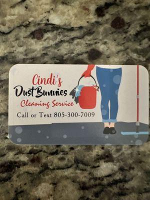 Cindi's Dust Bunnies Cleaning
