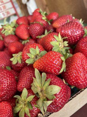 Wilton Strawberries
