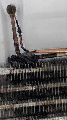 Find out why your refrigerator isn't cooling