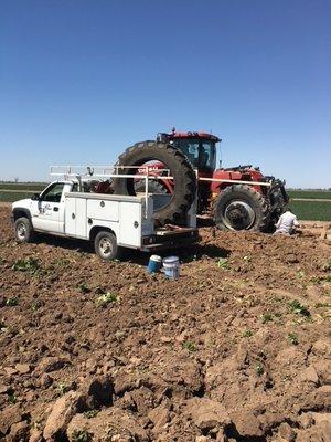 Cristian Tire Service