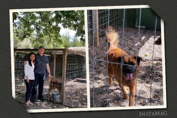 South Valley Boarding Kennels