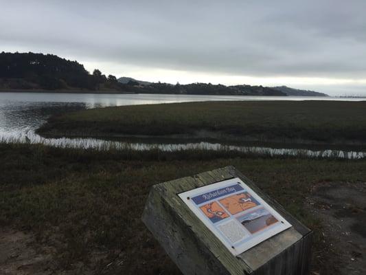 Bothin Marsh Preserve