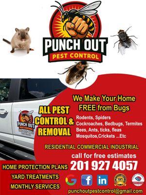 Punch Out Pest Control