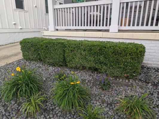 Trendscapes Landscaping