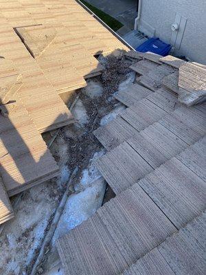 Lack of maintenance on tile roofs once in 7-10 years leads to overflowing the valley because of accumulated debris.