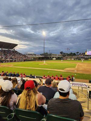 Minnesota Twins Baseball