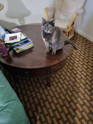 Innovation Cleaning Services