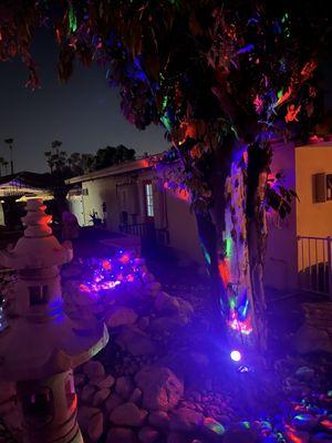 Exotic Dreams Resort Hotel