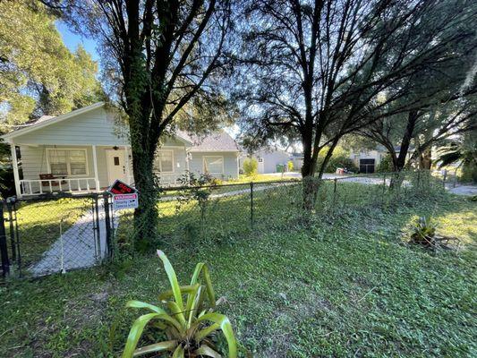 Tampa landscape and irrigation