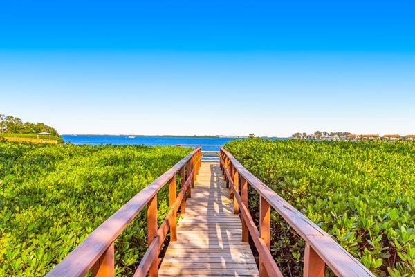 Christine Kourik- RE/MAX Alliance Group