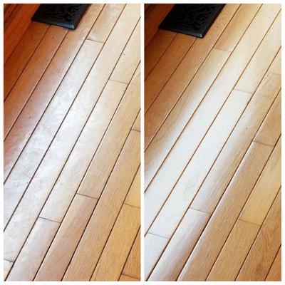 New Life Carpet Care Plus