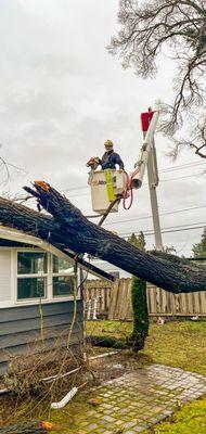 Silent Rock Tree Service