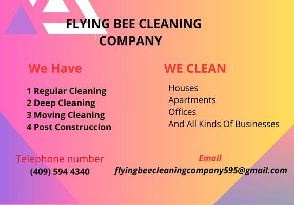 Flying Bee Cleaning