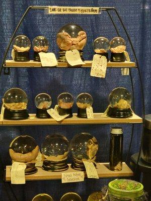 Indianapolis Oddities & Curiosities Expo