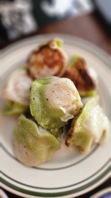 Chicken Dumplings ( fried)