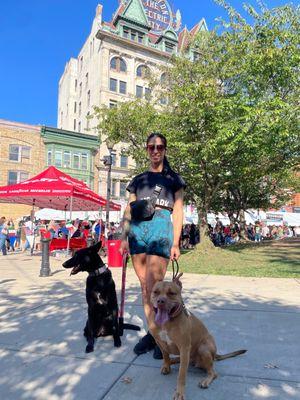 Electric City Canines