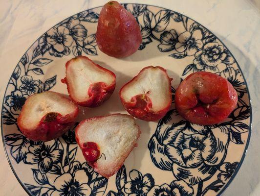 The inside of wax apple/love apple