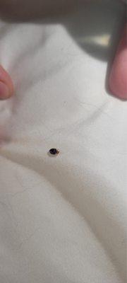 Rodeway Inn & Suites Madison East