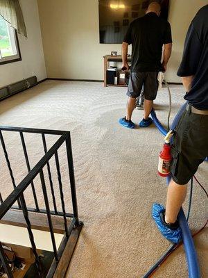 Carpet as it is cleaned.