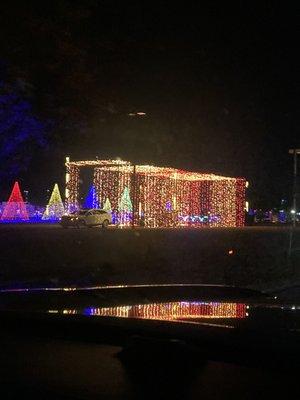 More Christmas trees