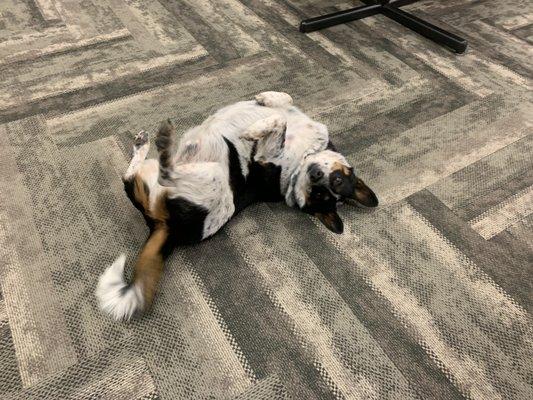 Navy Recruiting Station